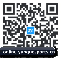 苹果版 iOS 二维码